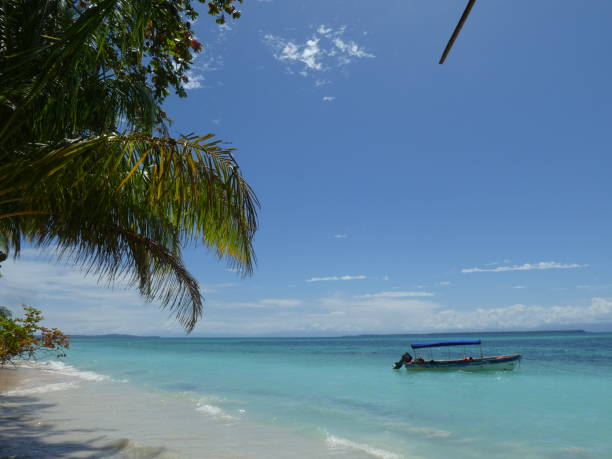 istock Zapatilla island of Panama 943135954