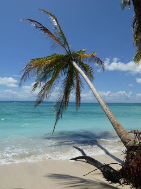istock Zapatilla island of Panama 943142744