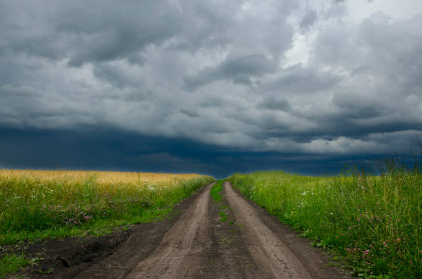 istock Empty ground country road passing through the wheat and rye fields on a background of overcast stormy sky. 943144644
