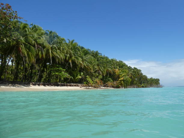 istock Zapatilla island of Panama 943148430