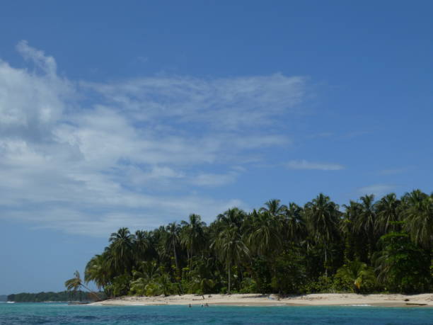 istock Zapatilla island of Panama 943151168