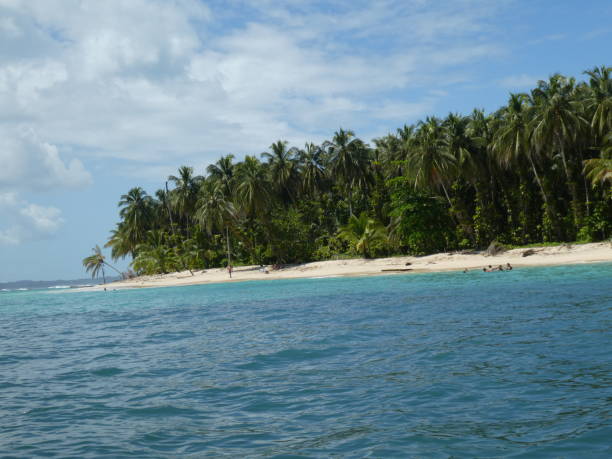 istock Zapatilla island of Panama 943151922