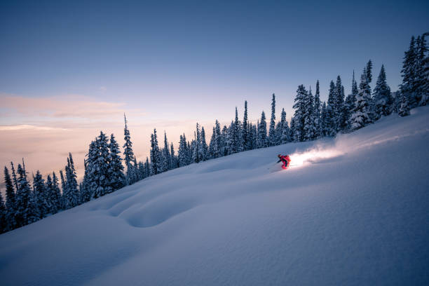 Powder skiing stock photo