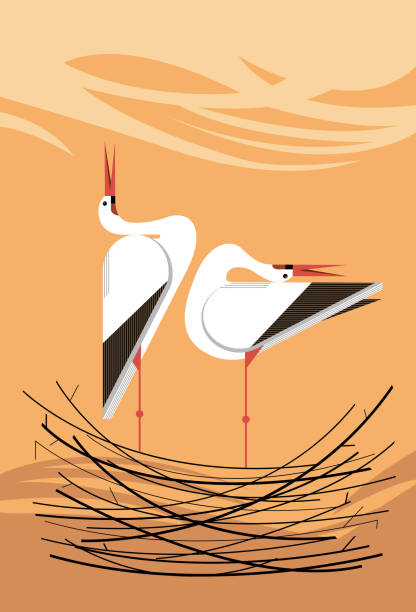 песня любви аистов в гнезде - loving bird love birds nest stock illustrations