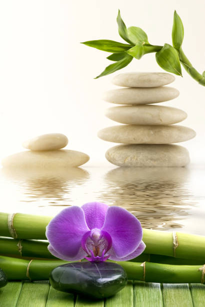 istock wellness environment with massage stones, bamboo and orchid 943159272
