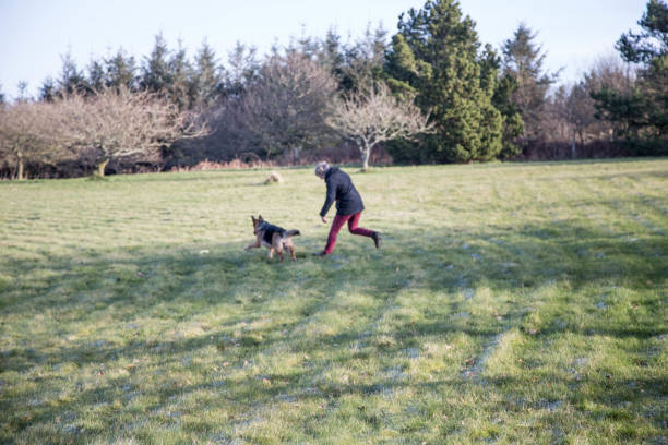 istock senior woman training german shepherd dog 943159866