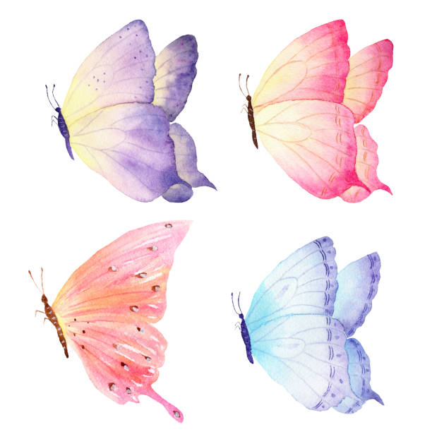 istock Colorful hand drawn watercolor butterfly collection. Ideal for invitations, cards, wallpapers, printing on fabric. 943166646