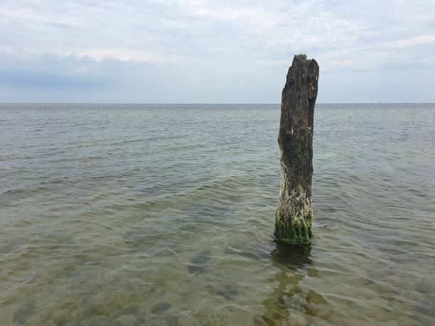 Coast protection at the baltic sea (Kuehlungsborn, Germany): groynes