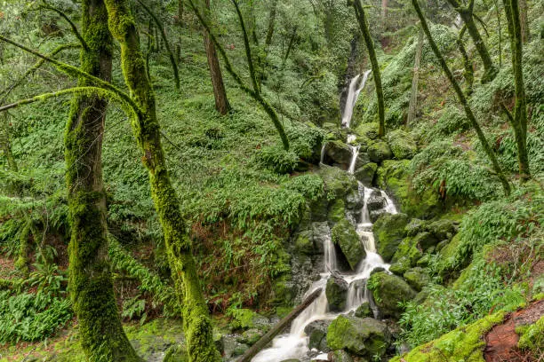 Cataract Falls is a meager display at best most of the year, but it really comes alive after a good rain. The hiking trail follows the falls, up a steep ravine for several miles with cascading falls most of the way.