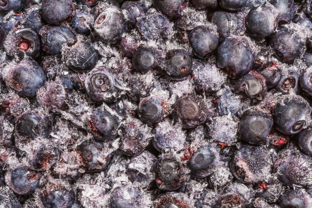 istock frozen blueberries covered with ice crystals, food background 943175638