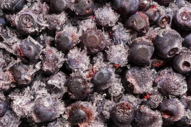istock frozen blueberries covered with ice crystals, food background 943175642