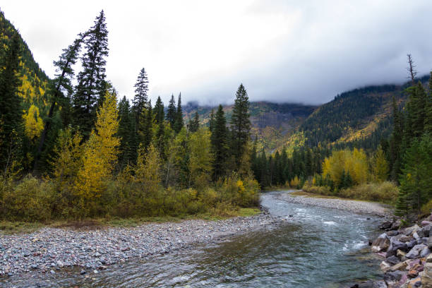 istock Glacier National Park, Montana 943178578