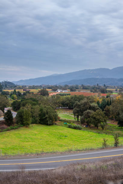 istock Autumn in the vineyards 943179026