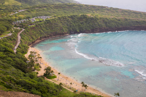istock Hanauma Bay From Rim Head Trail 943181624