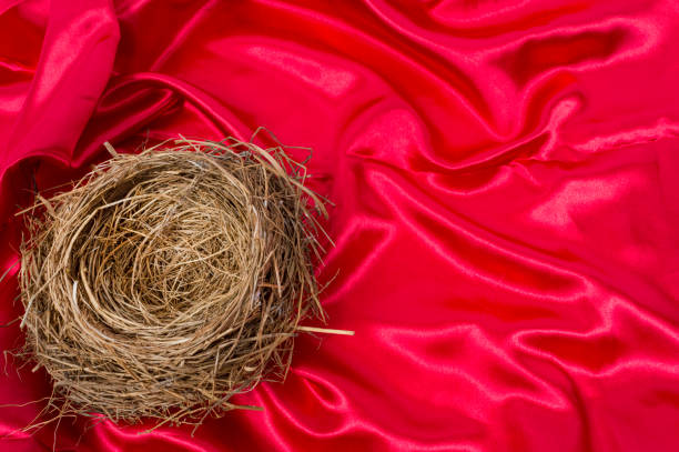 Horizontal shot of a bird's nest in the lower left hand corner of the shot on a beautiful red satin background. Focus is on the nest.