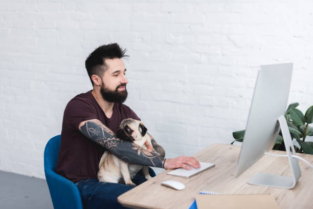 istock tattooed handsome man holding pug and using computer at home 943187902