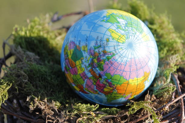 istock The World Egg in the Nest 943191366