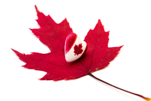 Canada Ontario Toronto, maple leves design symbol of canada