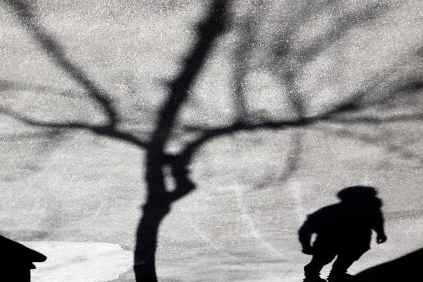 istock Defocus silhouette shadow of a young person under a bare tree 943192432