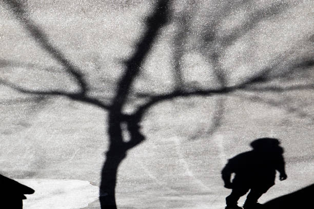 Defocus silhouette shadow of a young person under a bare tree Abstract blurry silhouette shadows of a man standing alone under a bare tree in black and white suicide photos stock pictures, royalty-free photos & images