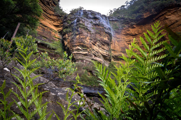 istock Wentworth Falls Australia 943195118