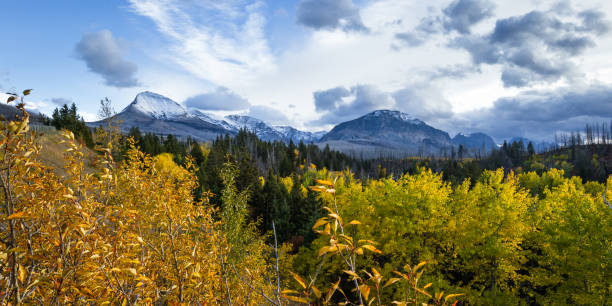 istock Glacier National Park, Montana 943198448