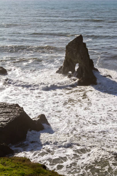 istock The Northern California Coast 943200862