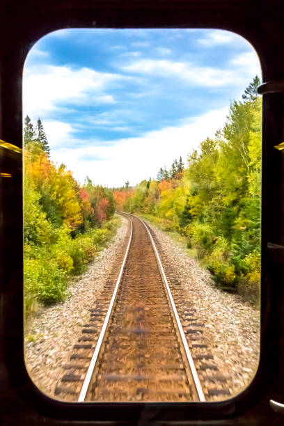 Long view from the back of a train.