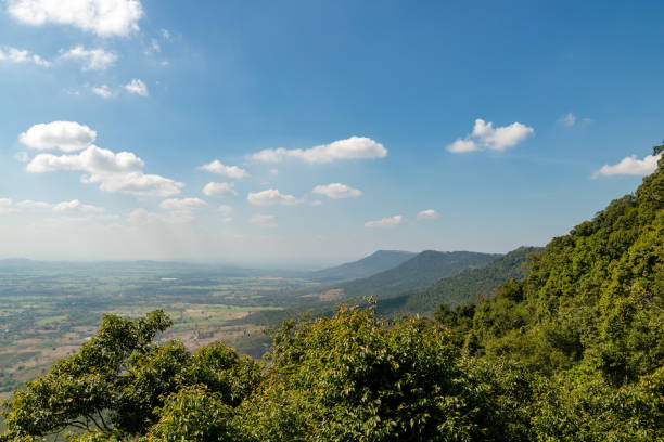 istock tropical forest landscape with mountain and blue sky background 943210106