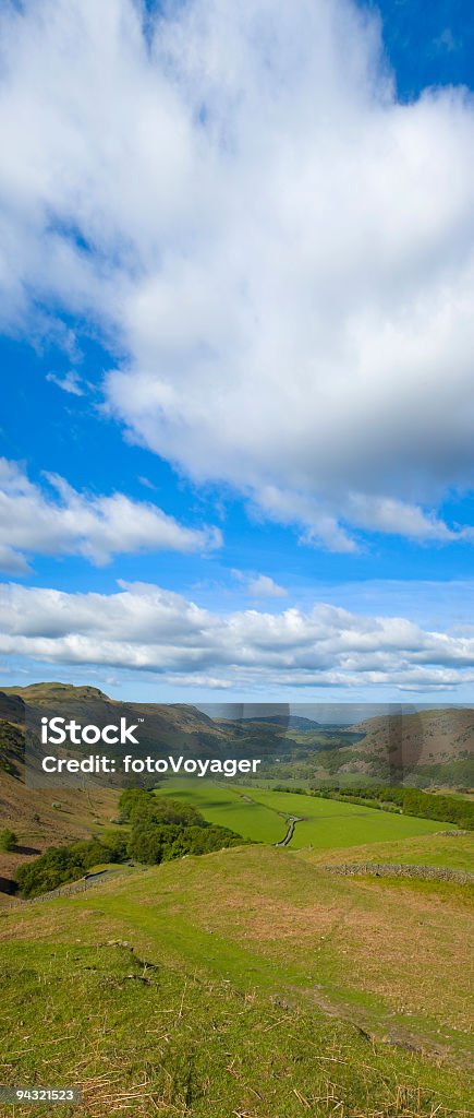 Panoramica verticale Verde pascolo - Foto stock royalty-free di Agricoltura