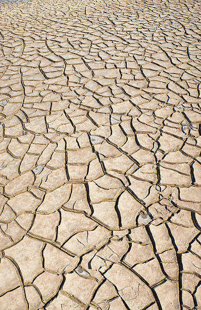 letto del fiume secco - nevada usa desert arid climate foto e immagini stock