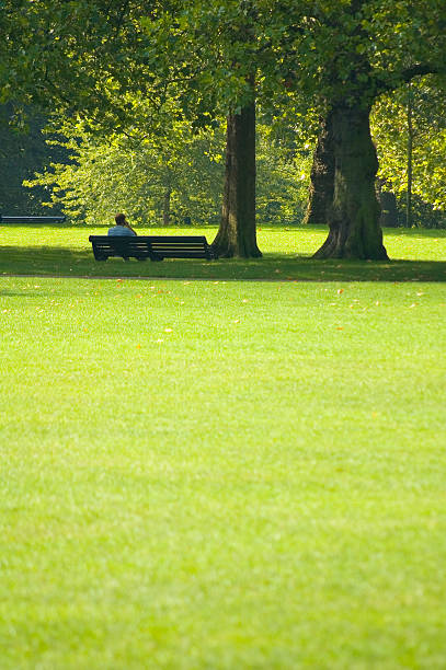 banco en green park. - london england park london hyde street fotografías e imágenes de stock