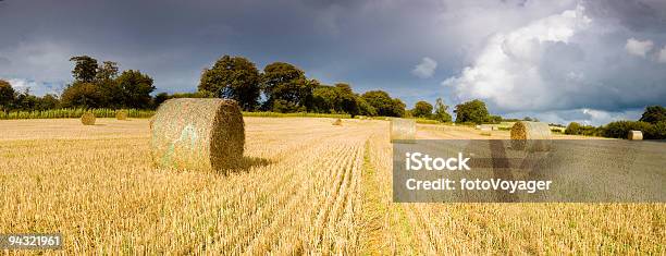 Golden Hay Bales Stürmischen Himmel Stockfoto und mehr Bilder von Heuballen - Heuballen, Feld, Sturm