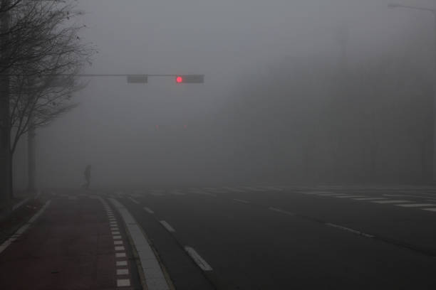 istock Crosswalk in the morning mist 943220564