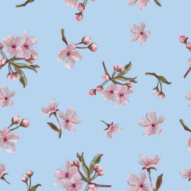 Sakura Blossoms Seamless Pattern Isolated on Blue Background. Fruit Tree Blossoms on Blue Seamless Background. Apple, Almond, Cherry Blooms. Digitally Created Watercolor Botanical Illustration for Background, Print, and Textile. sequence dress stock illustrations