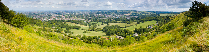 Agricultural farm field with crops growing