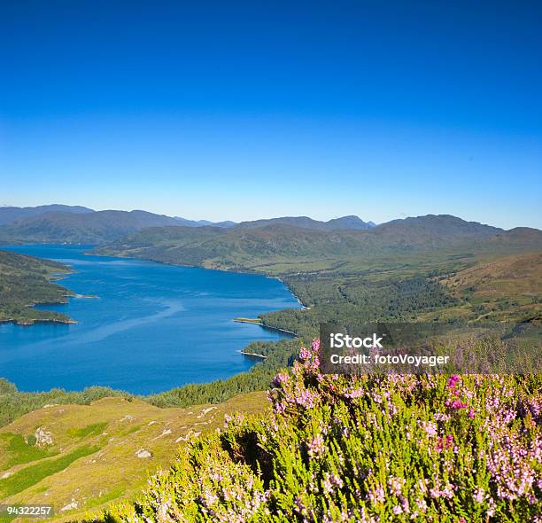 Heather No Topo Da Montanha - Fotografias de stock e mais imagens de Montanhas Trossach - Montanhas Trossach, Ao Ar Livre, Azul