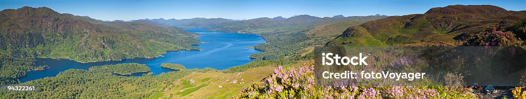 Blue lake, vertici di green mountain - Foto stock royalty-free di Albero