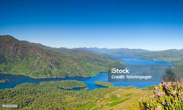 Highlands And Heather Stock Photo - Download Image Now - Blue, Clear Sky, Color Image