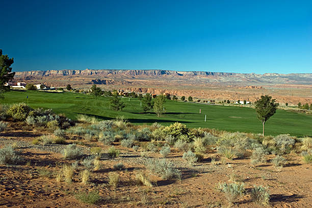 green de golfe no deserto - page - fotografias e filmes do acervo