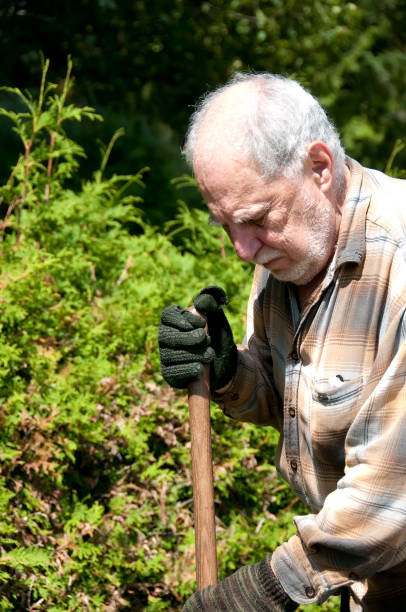 istock senior gardener  closeup 94322893