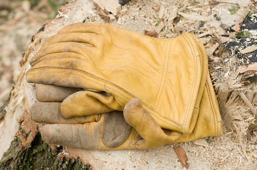 Work gloves discarded on a pavement