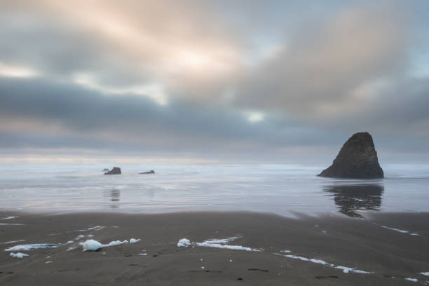 istock Northern California coast 943232304
