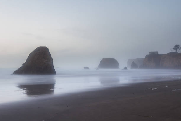 istock Northern California coast 943232330