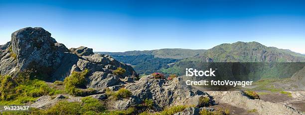 Montagna Viola Mélange - Fotografie stock e altre immagini di Catena montuosa dei Trossachs - Catena montuosa dei Trossachs, In cima, Scozia