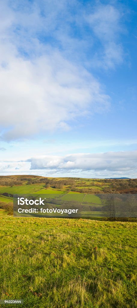 Verde campos, cielo azul y nubes blancas - Foto de stock de Agricultura libre de derechos