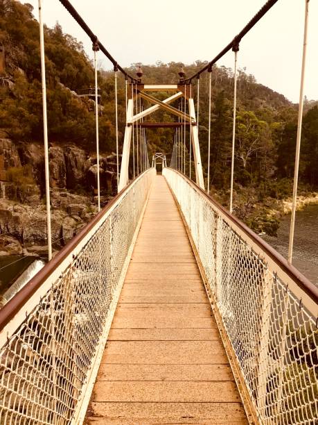 アレクサンドラ ・ サスペンション ブリッジ - カタラクト渓谷 - suspension bridge 写真 ストックフォトと画像