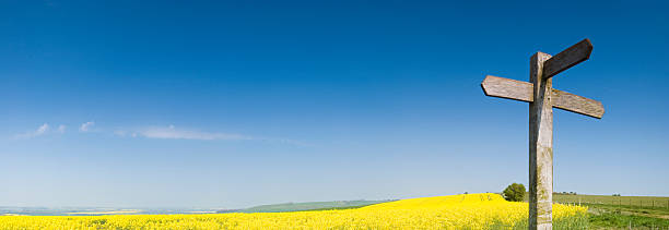 cartel en blanco, amarillo, recortar, cielo azul - the bigger picture refrán en inglés fotografías e imágenes de stock