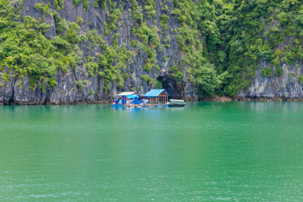 pływająca wioska i wyspy skalne w zatoce halong - halong bay vietnam bay cruise zdjęcia i obrazy z banku zdjęć