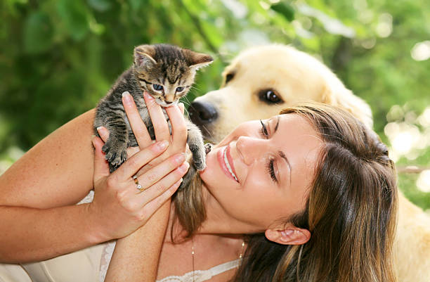 A gentle golden retriever stands still as a tiny kitten sits atop its head, showcasing an adorable moment of unexpected friendship and trust between a dog and a young cat.